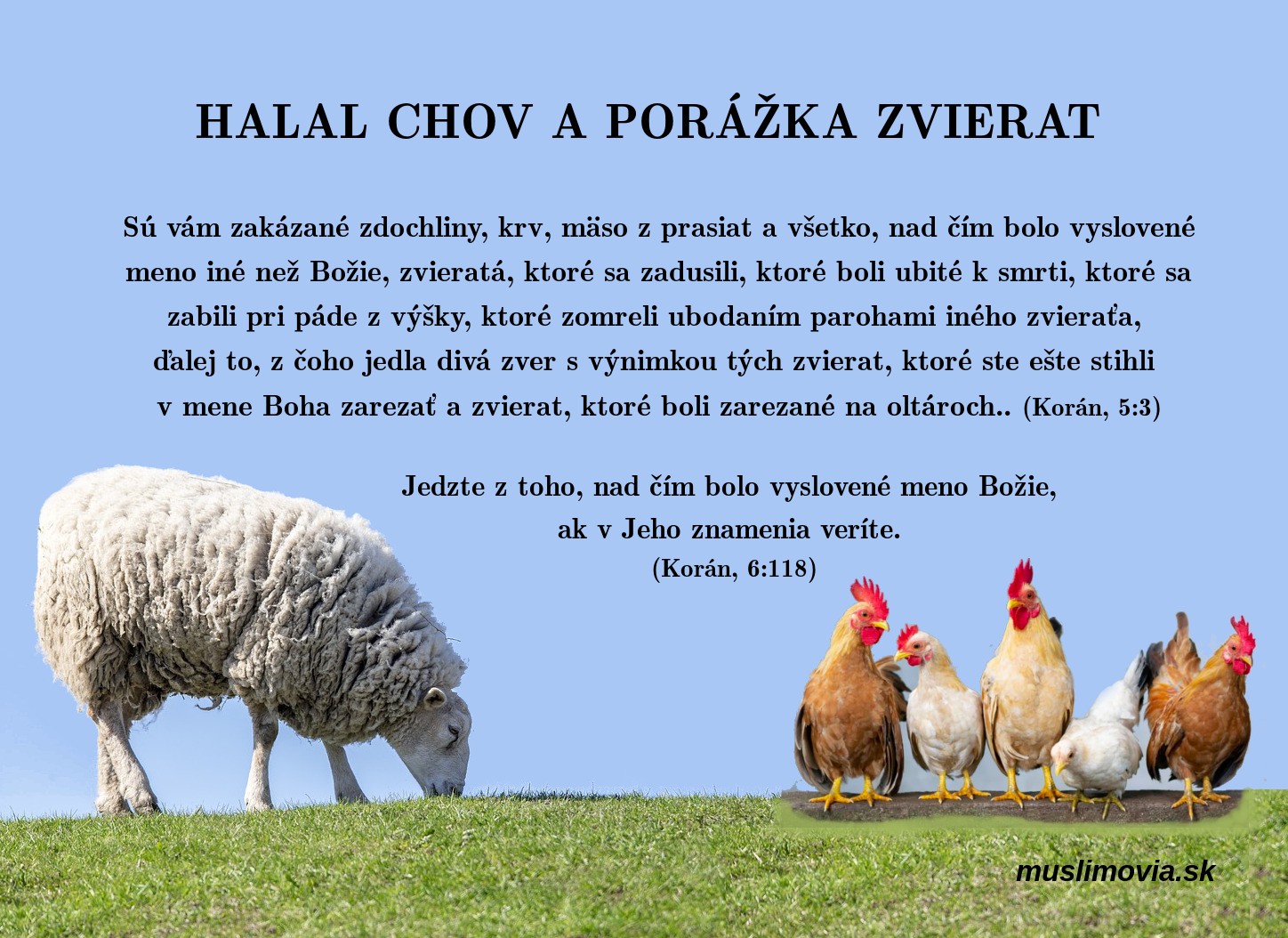 Halal porážka a halal chov, islam, Korán