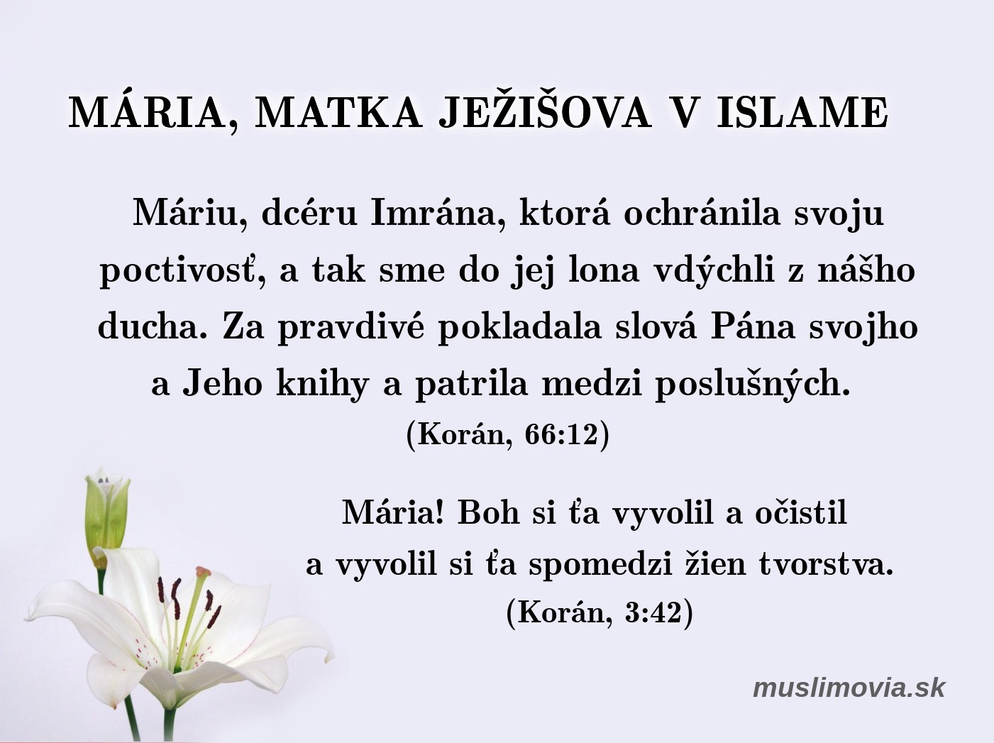 Mária, matka Ježišova, Korán