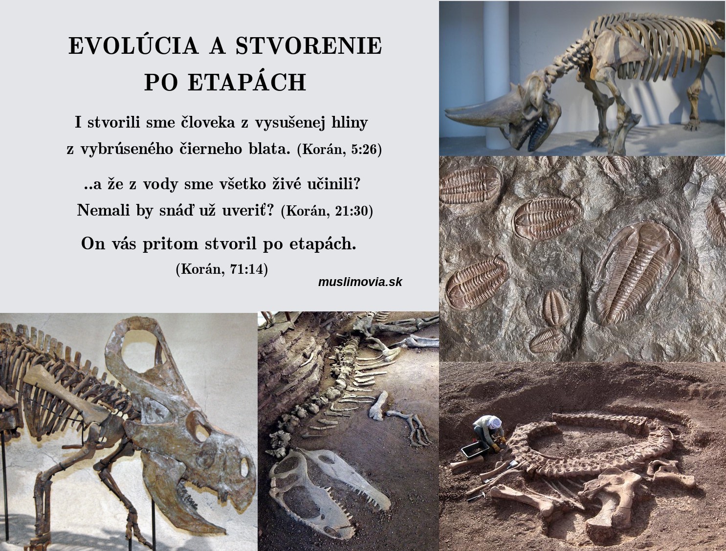 Evolúcia a stvorenie po etapách, Korán