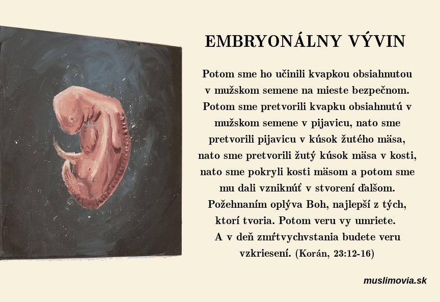 Embryonálny vývin, Korán