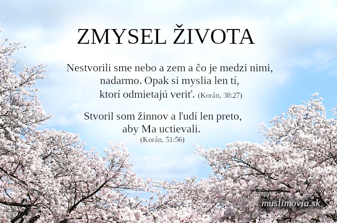 Zmysel života, Korán, islam